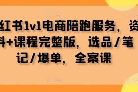 2024最新小红书1v1电商陪跑服务，资料+课程完整版，选品/笔记/爆单，全案课09-14冒泡网