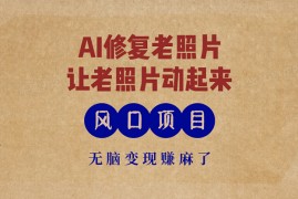 实战（13296期）最新风口项目，AI一键修复老照片，让老照片动起来，接单到手软，无脑变&#8230;11-12中创网