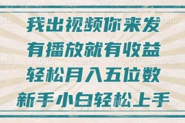 简单项目（13667期）不剪辑不直播不露脸，有播放就有收益，轻松月入五位数，新手小白轻松上手12-15中创网