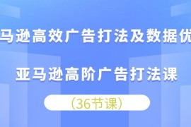 2024热门给力项目项目，亚马逊 高效广告打法及数据优化，亚马逊高阶广告打法课