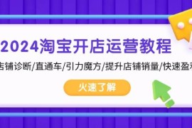 赚钱项目（13300期）2024淘宝开店运营教程：店铺诊断/直通车/引力魔方/提升店铺销量/快速盈利11-12中创网