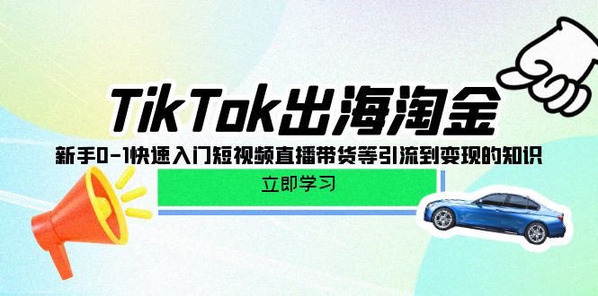 赚钱跨境电商项目,TikTok-出海淘金,新手0-1快速入门短视频直播带货等引流到变现的知识