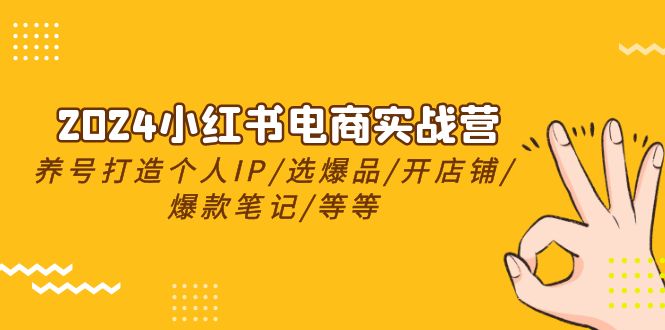 很火小红书项目,2024小红书电商实战营,养号打造IP/选爆品/开店铺/爆款笔记/等等