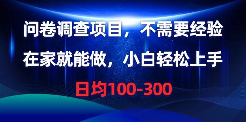 实战热门给力项目项目,问卷调查项目,不需要经验,在家就能做,小白轻松上手,日均100-300