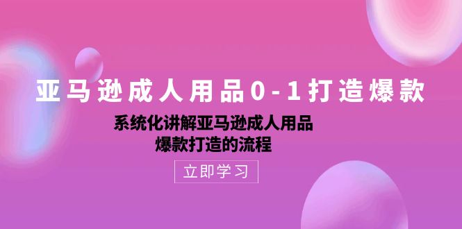 实操跨境电商项目,亚马逊成人用品0-1打造爆款:系统化讲解亚马逊成人用品爆款打造的流程