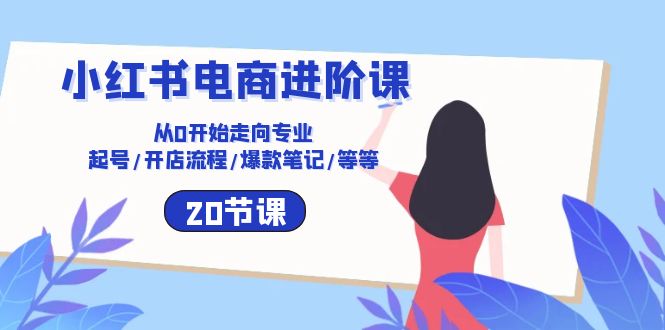 热门小红书项目,小红书电商进阶课:从0开始走向专业 起号/开店流程/爆款笔记/等等