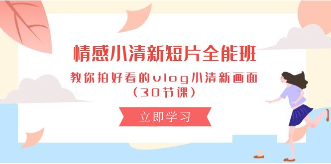 实战短视频运营项目,情感 小清新短片-全能班,教你拍好看的vlog小清新画面 (30节课)