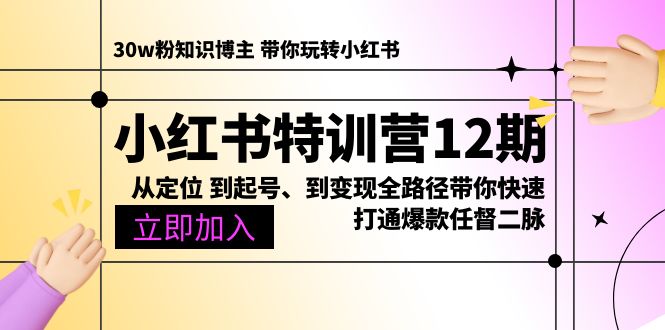 2024小红书项目,小红书特训营12期:从定位 到起号、到变现全路径带你快速打通爆款任督二脉