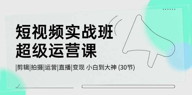 赚钱短视频运营项目,短视频实战班-超级运营课,|剪辑|拍摄|运营|直播|变现 小白到大神 (30节)